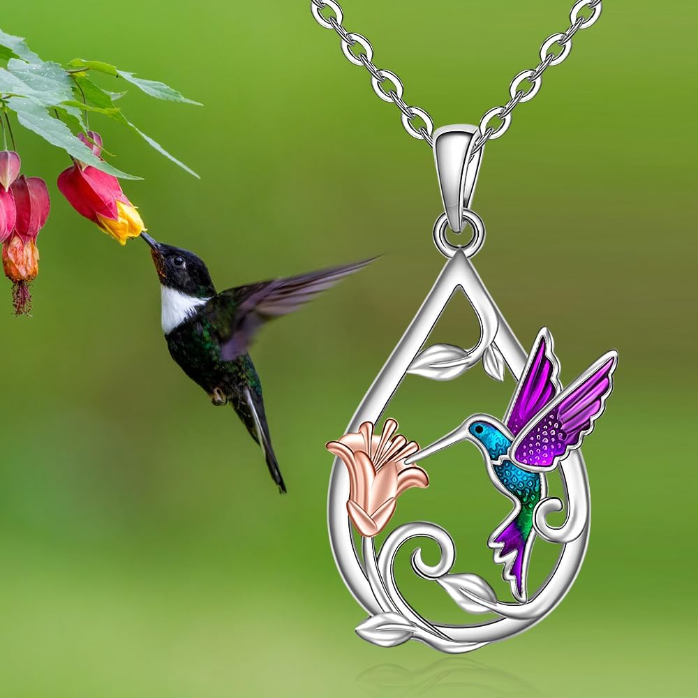 Beautiful Kolibri Halsband For Women With Bonus Örhängen