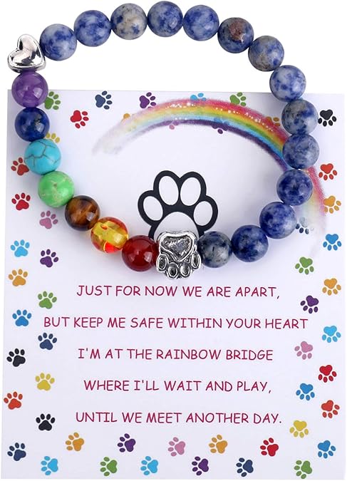 Rainbow Bridge Memorial Armband 7 Chakra Bead Gift For Pet Loss